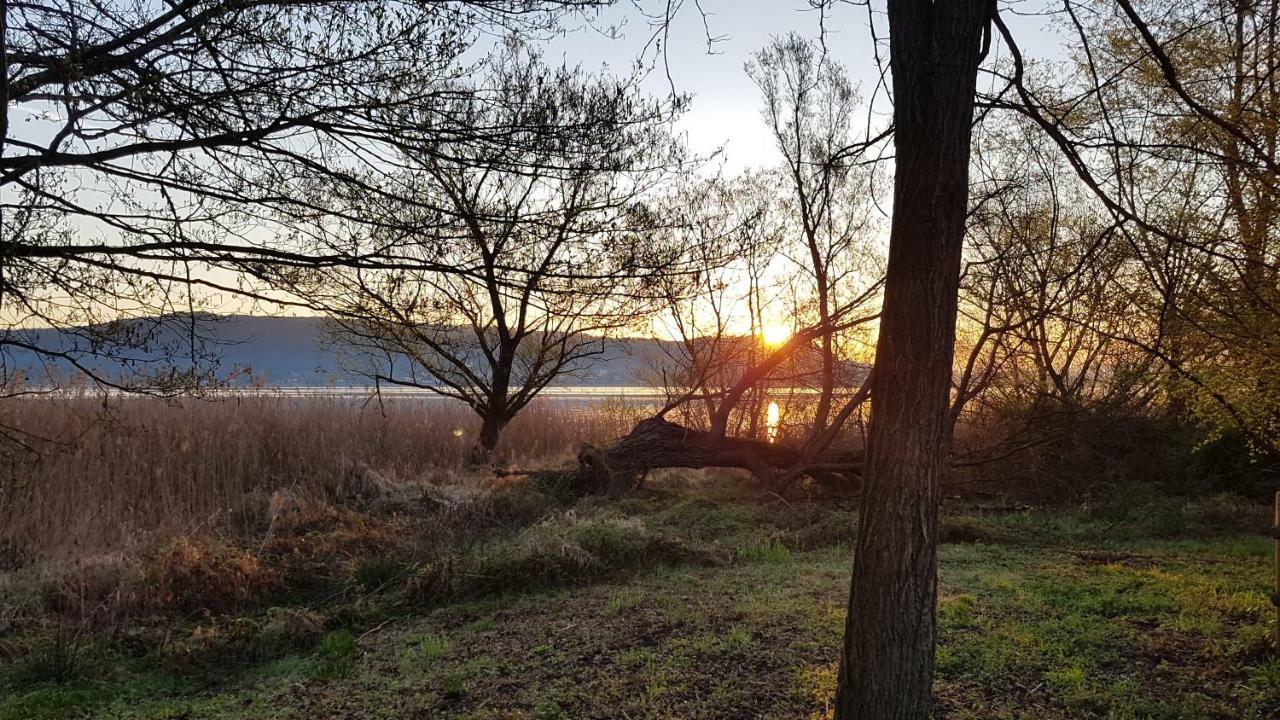 Ritratto Sul Lago Dormelletto Kültér fotó